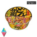 NISSIN 北のどん兵衛 カレーうどん(85g) ×12(1ケース)1箱