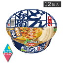 NISSIN 北のどん兵衛 天ぷらうどん(95g) ×12（1ケース）1箱