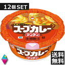 東洋水産 マルちゃん スープカレー ワンタン 12個セット(1ケース) - ヘルシーブライト楽天市場店