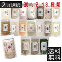 選べる だし塩 (160g) ×2袋真鯛/あご/昆布/伊勢えび/しじみ/甘えび/かき/のどぐろ/雲丹(うに)/鰹/ふぐ/かに/ほたて/白エビ/いりこ/金目鯛/あおさ/はも ポイント2倍