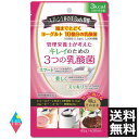 (送料無料)キレイのための3つの乳酸菌 (45g）(約30回分)×1