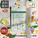 国産酵素「nagomiKOUSO」サプリメント 10日分 ソフトカプセル 送料無料 野菜・果物・茸・海藻を熟成した生酵素補酵素ビタミンB1配合!ダイエットサポー...