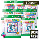 エキナケアのど飴 15粒入 松浦漢方　×10袋（10個セット）