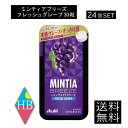 送料無料 アサヒグループ食品 ミンティアブリーズ フレッシュグレープ 30粒×24個 アサヒグループ ミンティア タブレット ミント 大粒 携帯用