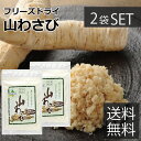 北海蝦夷 山わさび 18g　×2袋セット（フリーズドライ・粉