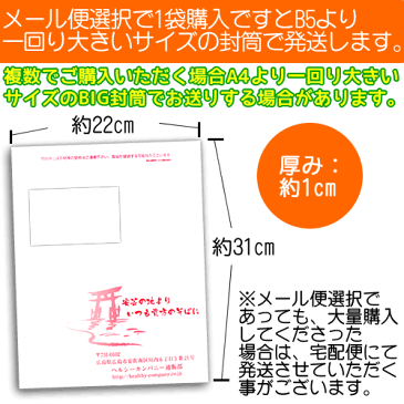 オーガニック 有機栽培生姜パウダー100g 1cc計量スプーン入り(無添加 しょうがパウダー しょうが粉末 生姜粉末 送料無料)