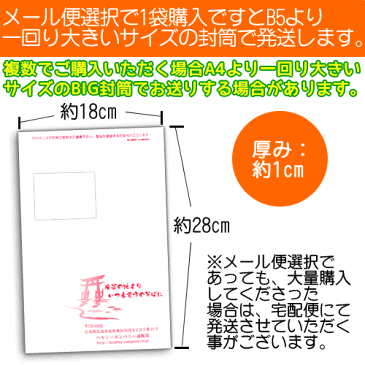 ゲランド・プロヴァンス産ソルト使用スパイシーグルメソルト300g 送料無料