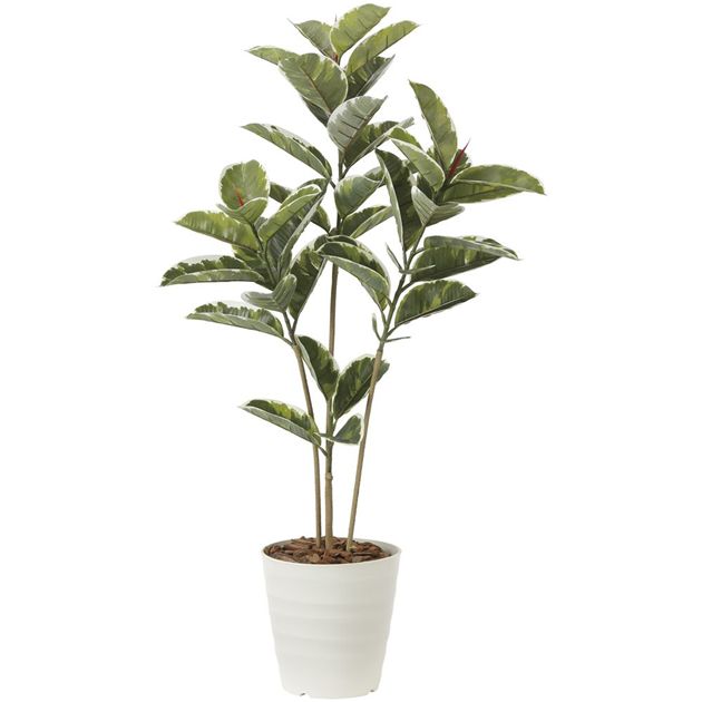 光の楽園(2026年版) アルテシマ 品番：2221R210 高さ：120cm - アートクリエイション [光触媒/人工観葉植物]