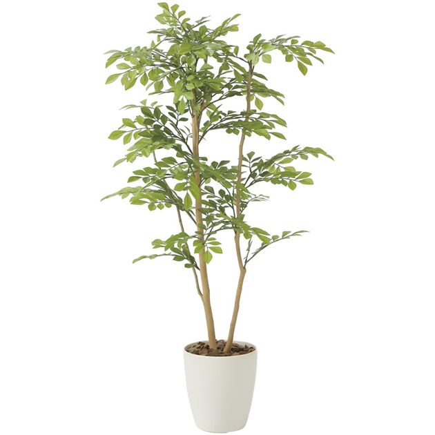 光の楽園(2026年版) ライトトネリコ 品番：2232R190 高さ：100cm - アートクリエイション [光触媒/人工観葉植物]