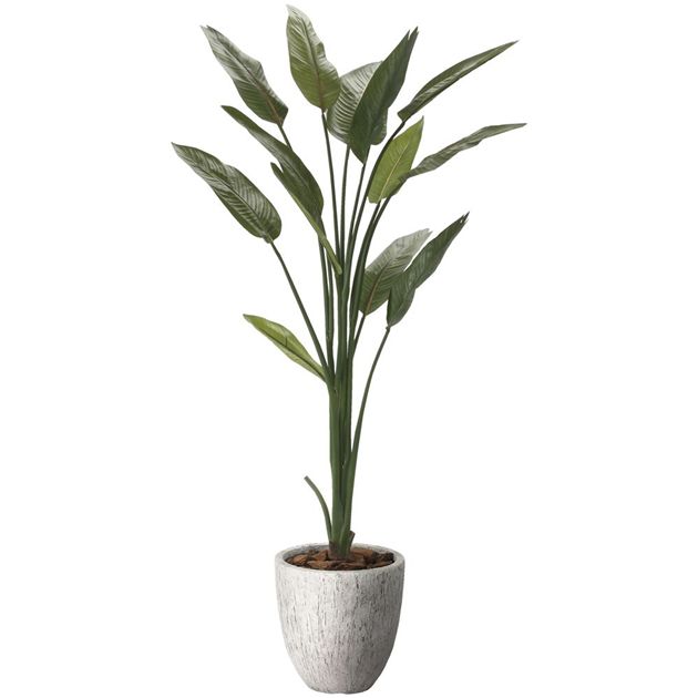 光の楽園(2026年版) ナチュラルストレチア 品番：2651A460 高さ：160cm - アートクリエイション [光触媒/人工観葉植物]