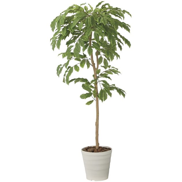 光の楽園(2026年版) チェリーツリー 品番：2713A300 高さ：180cm - アートクリエイション [光触媒/人工観葉植物]