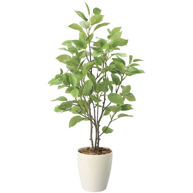 ★出荷日数目安 こちらの商品はメーカー直送、通常5〜8営業日で出荷となります。 商品名 光の楽園(2026年版)　チェリー　品番：2733A125　高さ：90cm 【アートクリエイション】 重量 約1,400g メーカー名 アートクリエイション ブランド 光の楽園 サイズ 約 幅48×奥行40×高さ90cm ※商品サイズは、花や葉が広がった状態での全体サイズ（器も含めた高さ）になります。 素材・原材料・成分 本体素材：ポリエステル+ポリエチレン 花器素材：ポリプロピレン ご注意 ※「光の楽園シリーズ」は、受注生産・メーカー直送の為、代金引換はご利用になれません。 ※光の楽園は、ひとつひとつが手作りの為、商品のお届けまでに6〜7日程いただいております。 ※また、完全受注生産の為、イメージ違いによるご返品はできませんのであわせてご了承下さい。 ※お届けは、基本的にはメーカーからの直送となります。 その他 ※光の楽園のギフトサービスは、メッセージカード、立て札、熨斗、ラッピング（一部の小さい商品のみ）を対応しています。 ギフトサービスをご希望の方は、ご注文時に備考欄にご記入ください。また、不明な点はお気軽にお問合せください。 原産国または製造国 日本 広告文責：株式会社健人　電話番号　048-252-3939 区分：生活雑貨 サブカテゴリー：　フラワー・グリーン > 光の楽園 > 光の楽園　グリーンシリーズ > 光の楽園　フロアタイプ > 光の楽園　10500円〜31499円 関連ワード：　光触媒/人工観葉植物/フェイクグリーン/バンブー/造花/フェイクフラワー/アートフラワー/イミテーションフラワー/インテリア/消臭/除菌/お祝い/ギフト/開店祝い/開業祝い/誕生日/母の日/父の日 光の楽園とは？ 光の楽園とは？ 光の楽園は、太陽光や蛍光灯の光に反応する“光触媒技術”を利用し、一つ一つ丁寧に人の手によって造られている人工植物です。置いておくだけでお部屋の空気をキレイにし、消臭、防菌、さらには人体に影響のあるホルムアルデヒドの除去までしてくれます。 ■消臭「光の楽園」はタバコ・ペット・アンモニアなどの気になる悪臭を消去します。 ■抗菌・抗ウイルス「光の楽園」は大腸菌、黄色ブドウ球菌等の細菌類やウイルスを光触媒の酸化力により分解し増殖を抑えます。 ■防汚・防カビ「光の楽園」はカビや表面に付着した種々の有機物を分解し、汚れを防ぎます。 ■ホルムアルデヒドの分解・除去「光の楽園」はシックハウス症候群の原因の一部として考えられる、ホルムアルデヒドやダイオキシンを分解、除去します。 光の楽園が選ばれる理由 ギフトサービス 光の楽園(2026年版)　チェリー　品番：2733A125　高さ：90cm 【アートクリエイション】 ページトップへ光の楽園(2026年版)　チェリー　品番：2733A125　高さ：90cm 【アートクリエイション】 「光の楽園　ナチュラルサラサドウダン　品番：2411A215　高さ：90cm」は、太陽光や蛍光灯の光に反応する「光触媒技術」を利用し、一つ一つ丁寧に人の手によって造られている人口観葉植物（フェイクグリーン・フェイクフラワー）です。造花は、水やりの必要がなく衛生面や周囲の環境により、 生の植物では、適応できない場所でも比較的簡単に装飾できるのが魅力です。 酸化チタン光触媒は、太陽の光や可視光（屋内の目に見える光）のエネルギーを使って種々の有機物質やニオイを分解する作用があります。 「光の楽園」では、株式会社豊田中央研究所が開発した可視光応答型光触媒「V-CAT」を使用し、高い消臭・抗菌・防汚・ホルムアルデヒド分解力を備えたより快適な環境を提供いたします。 ★期間限定のポイントアップでお買い得です。 期間　2026年7月30日（木)13：00〜8月27日（木)　8：59までとなります。