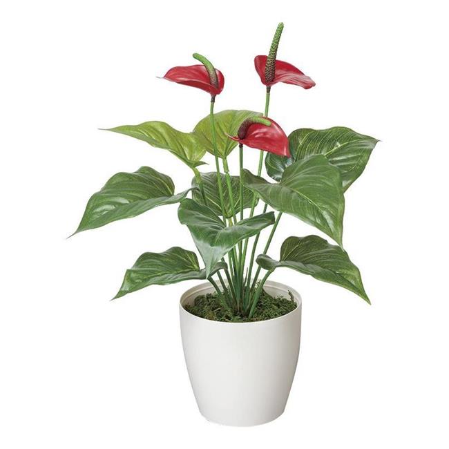 光の楽園(2025年版) フレッシュアンスリューム 品番：389A35 高さ：40cm - アートクリエイション [光触媒/人工観葉植物]