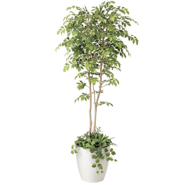 光の楽園(2026年版) マウンテンアッシュ植栽付 品番：408R650 高さ：180cm - アートクリエイション [光触媒/人工観葉植物]