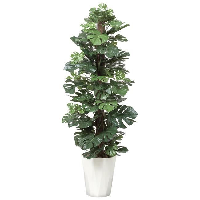 光の楽園(2025年版) スプリット 品番：512A250 高さ：135cm - アートクリエイション [光触媒/人工観葉植物]