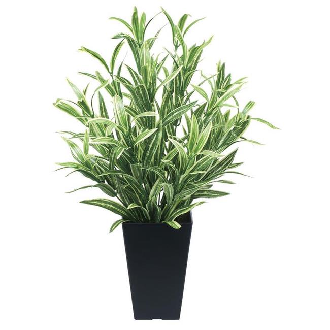 光の楽園(2025年版) ツ—トンスパイダ— 品番：519A70 高さ：50cm - アートクリエイション [光触媒/人工観葉植物]