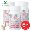 サプリ生活 ラクトフェリン+ビフィズス菌 320mg×60粒×6個セット - アンフィニプロジェクト