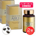 AHCC イムノゴールドSS 495mg×90粒×2個セット - 友愛製薬 【RSL配送】