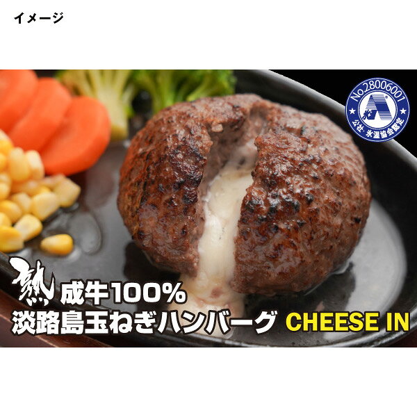 淡路島の恵み 淡路島ハンバーグセット 品番：1885 - 淡路島の恵み ※クール便冷凍