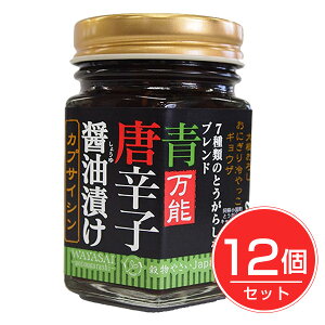 WAYASAI　青唐辛子醤油漬け　120g×12個セット　- ベストアメニティ