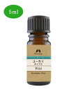 カリス オイル ユーカリ ダイブス 5ml (品番:5666) - カリス成城