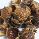 カリス ソープナッツ シェル ホール 100g ※食用不可 (品番:566) - カリス成城