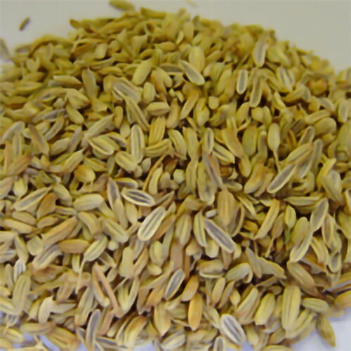 カリス フェンネル ホール KBA 500g (品番：8658) - カリス成城