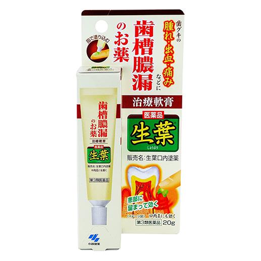 【第3類医薬品】 生葉口内塗薬 20g - 小林製薬 [歯肉炎/歯槽膿漏薬]