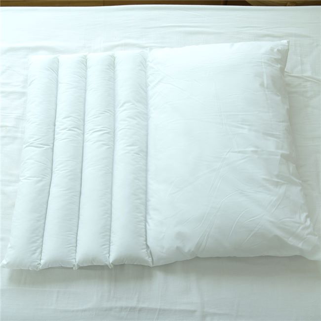 Danfill ダンフィル ピローミー 65cm×45cm JPA213 2個セット 専用カバーAKS18-3 2...