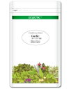 エクレクティック ガーリック Ecoパック180 550mg×180cp - ノラ・コーポレーション(4)
