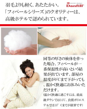 Danfill フィベールピロー 45×65cm 2個セット+専用枕カバーAKF01 2枚付