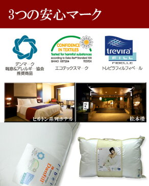 Danfill フィベールピロー 45×65cm 2個セット+専用枕カバーAKF01 2枚付
