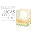 ルカス LUCAS 浄化グミキャンドル シトリン - アーシスト [フォレストブルー]