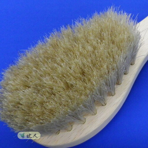 アートブラシの洋服ブラシ - アートブラシ [衣類用ブラシ]