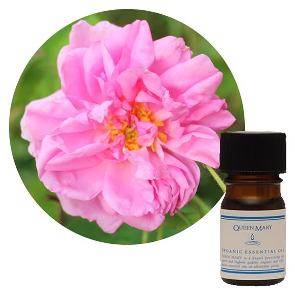 フレーバーライフ社 クイーンメリー 精油 ローズ・オットー 3ml - フレーバーライフ社