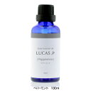 JX LUCAS GNXgEGbZVIC yp[~g 100ml - A[VXg