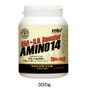 ゴールドジム EAA+N.O.ブースター アミノ14パウダー 300g - THINKフィットネス