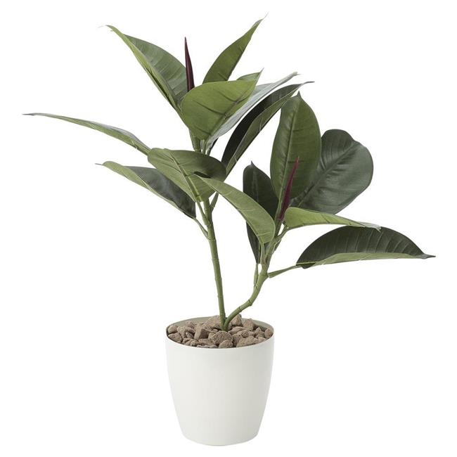 光の楽園(2025年版) ゴムノ木 品番：637G50 高さ：47cm - アートクリエイション [光触媒/人工観葉植物]