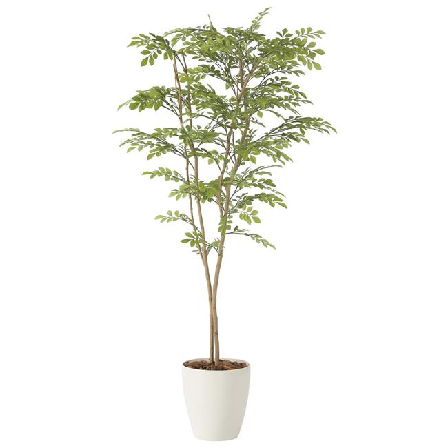 光の楽園(2025年版) ライトトネリコ1.6 品番：2231K330 高さ：160cm - アートクリエイション [光触媒/人工観葉植物]