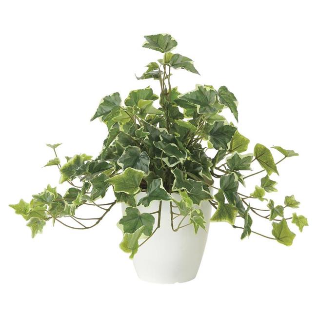 光の楽園(2025年版) フレッシュ斑入りアイビー 品番：2253A50 高さ：36cm - アートクリエイション [光触媒/人工観葉植物]