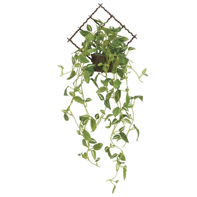 光の楽園(2025年版) 壁掛けトラディスカンティア 品番：2272A60 高さ：70cm - アートクリエイション [光触媒/人工観葉植物]