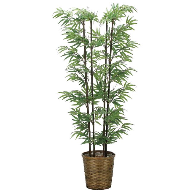 光の楽園(2025年版) 黒竹(幹:天然黒竹) 品番：2315A300 高さ：160cm - アートクリエイション [光触媒/..