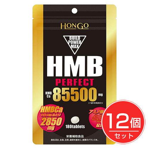 HMB perfact ѡե85500 300γ12ĥå - HONGO
