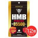 HMB perfact p[tFNg85500 300~12Zbg - HONGO