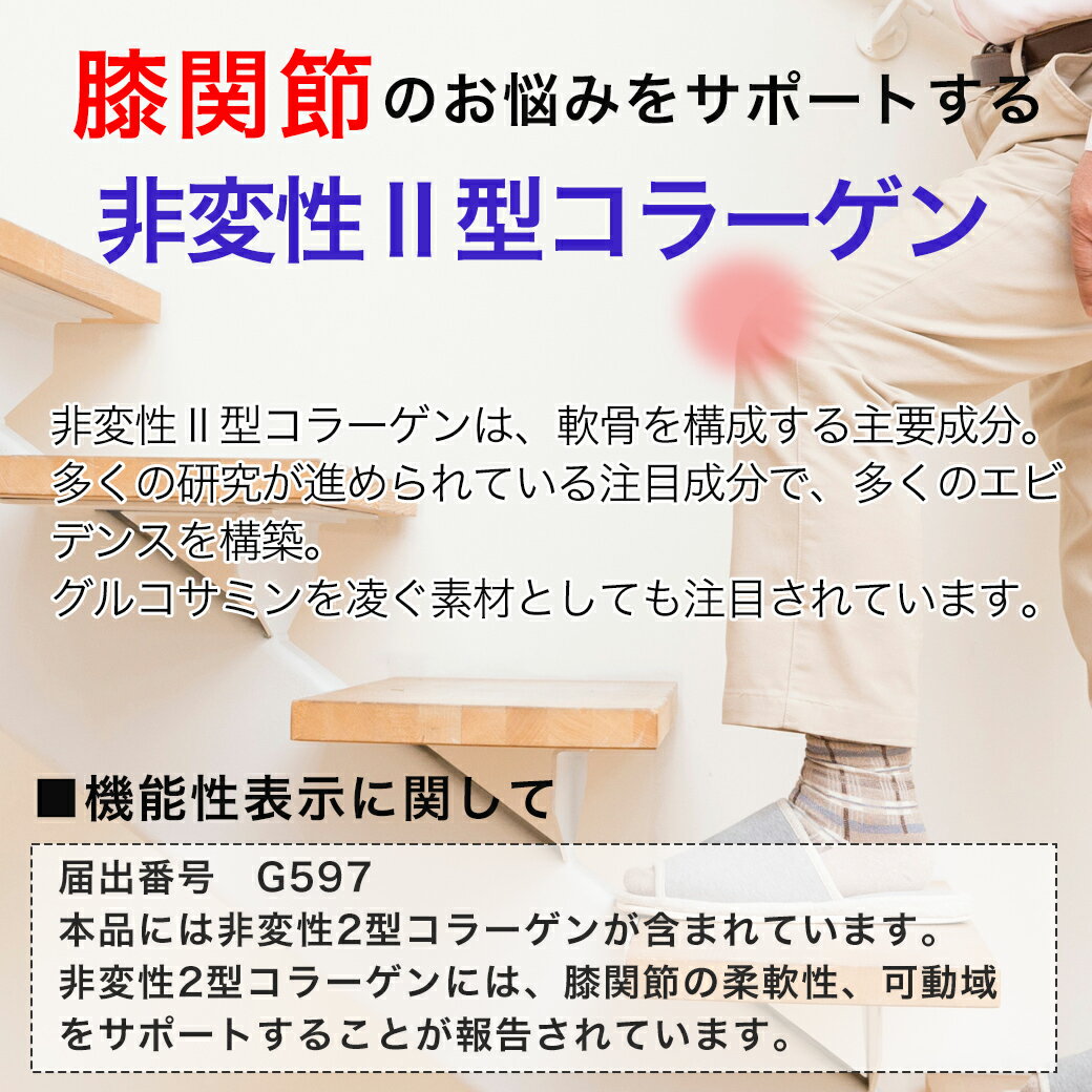 ココカラダ 非変性2型コラーゲン [機能性表示食品] 60カプセル×3個セット - コーワリミテッド [関節/柔軟性] 3