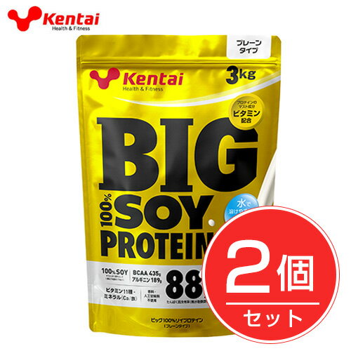 ケンタイ　プロテイン　BIG100％ ソイプロテイン プレーン 3kg×2個セット　- 健康体力研究所　(kentai)