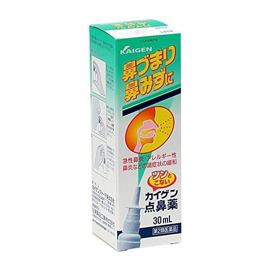 【第2類医薬品】 カイゲン点鼻薬 30ml - カイゲンファーマ [セルフメディケーション税制対象] [鼻づまり/鼻みず]