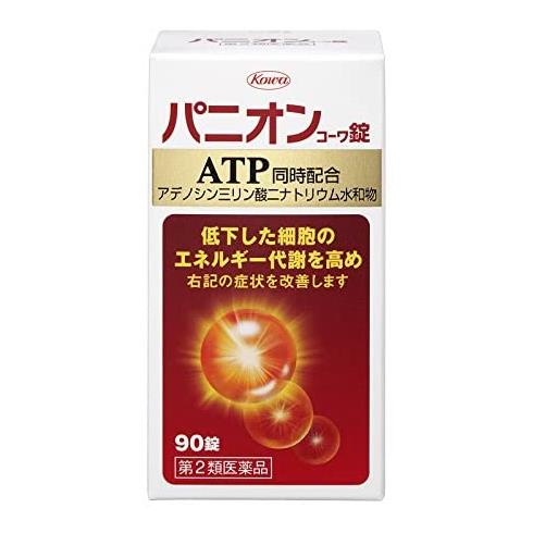 【第2類医薬品】 パニオンコーワ錠 90錠 - 興和 [疲労回復/脚気様症候群]