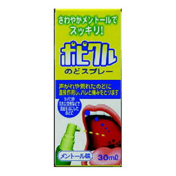 【第3類医薬品】 ポピクル のどスプレー メントール 30ml - 共立薬品工業 [のどのイガイガ/のどの荒れ]