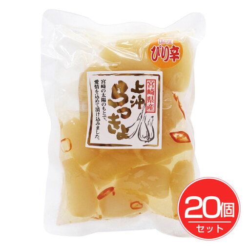 上沖産業 宮崎県産ピリ辛らっきょう 100g×20個セット - 上沖産業 上沖産業 宮崎県産ピリ辛らっきょう 100g×20個セット - 上沖産業
